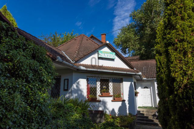 Eladó üzlethelyiség, Nemesnádudvaron 60 M Ft