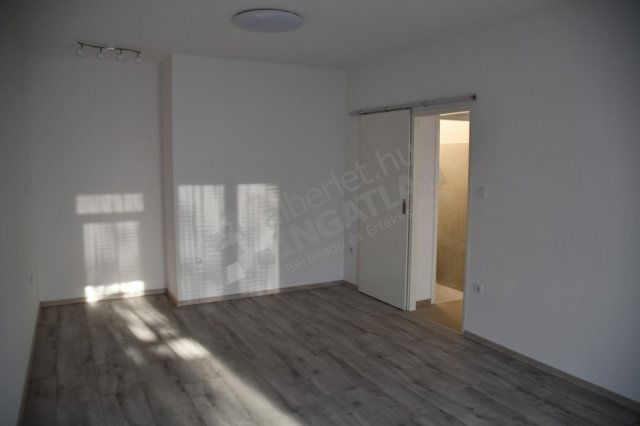Kiadó téglalakás, albérlet, Budapesten, XIV. kerületben