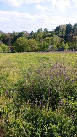 Eladó telek, Zalakaroson 7.5 M Ft / költözzbe.hu