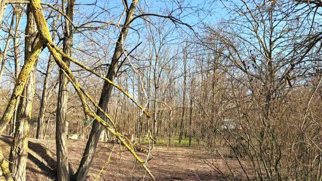 Eladó telek, Dabason 7.99 M Ft / költözzbe.hu