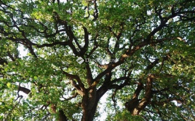Eladó mezogazdasagi ingatlan, Sopronban 2.5 M Ft