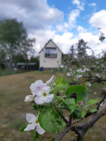 Eladó családi ház, Ráckevén 64.99 M Ft, 3+1 szobás