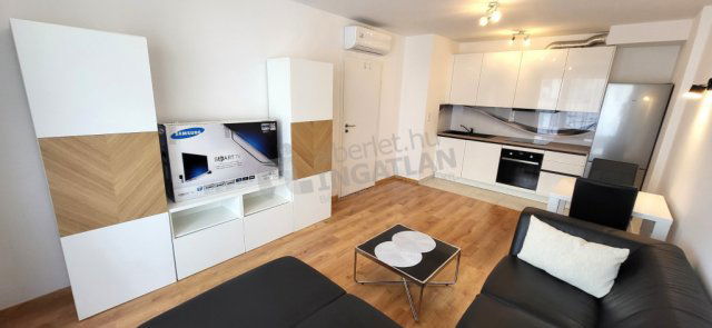 Kiadó téglalakás, albérlet, IX. kerületben, Lenhossék utcában