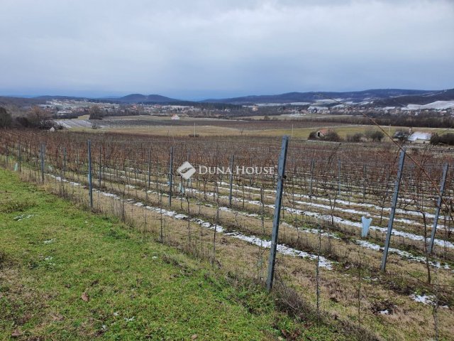 Eladó telek, Vászolyon 237.3 M Ft / költözzbe.hu