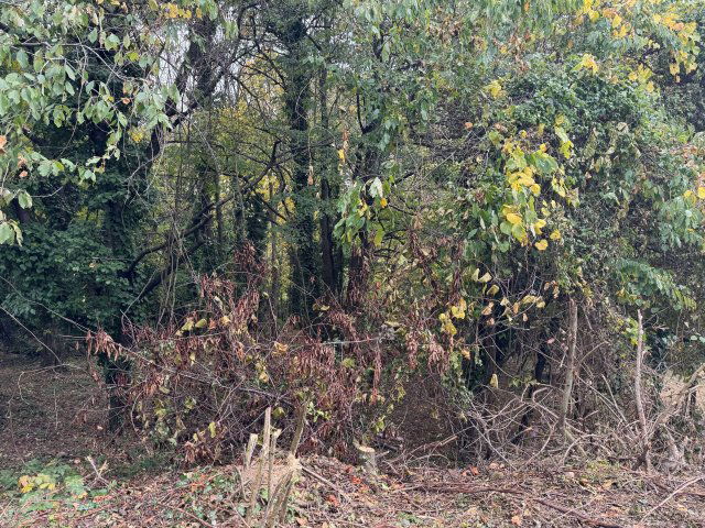 Eladó telek, Kőszegen 59.5 M Ft / költözzbe.hu