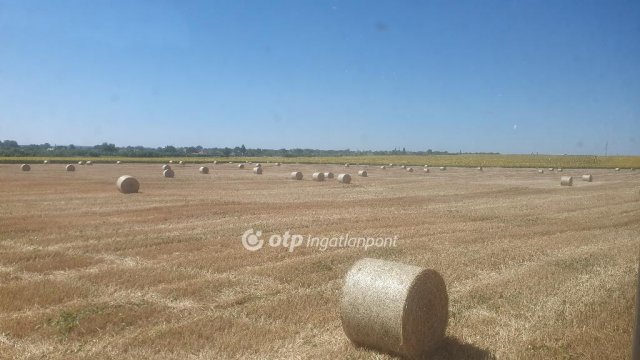 Eladó mezogazdasagi ingatlan, Tiszalúcon 315 M Ft
