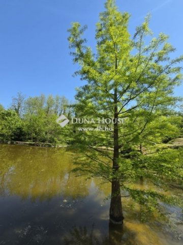Eladó családi ház, Vízváron 189 M Ft, 5 szobás
