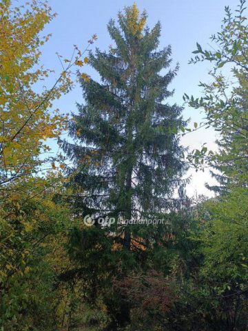 Eladó telek, Solymáron 69.9 M Ft / költözzbe.hu