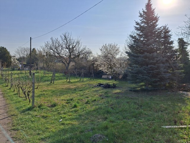 Eladó családi ház, Budapesten, XXI. kerületben 32 M Ft, 1 szobás