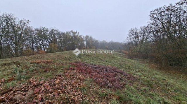 Eladó telek, Balatonszőlősön 39.9 M Ft / költözzbe.hu