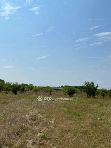 Eladó telek, Fehérgyarmaton 25 M Ft / költözzbe.hu