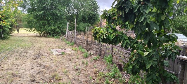 Eladó mezogazdasagi ingatlan, Balatonlelleén 3.99 M Ft