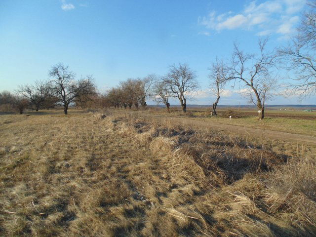 Eladó telek, Sajóvámoson 1.3 M Ft / költözzbe.hu