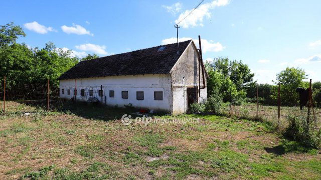 Eladó telek, Alsószentivánon 25 M Ft / költözzbe.hu