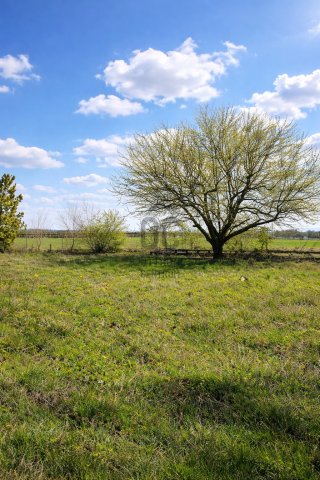 Eladó telek, Érden 11.999 M Ft / költözzbe.hu