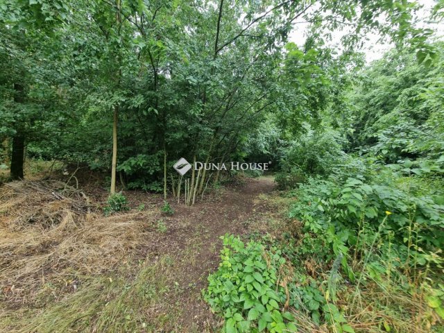 Eladó telek, Tóalmáson 5.5 M Ft / költözzbe.hu