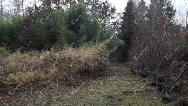 Eladó ipari ingatlan, Ajkán 140 M Ft / költözzbe.hu