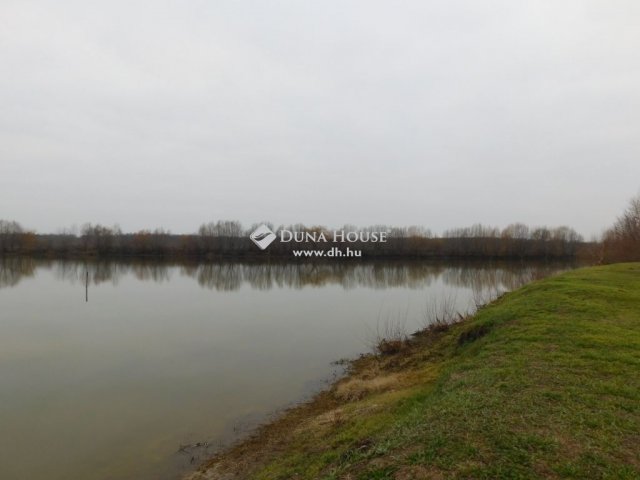 Eladó családi ház, Kecskeméten 250 M Ft, 2 szobás