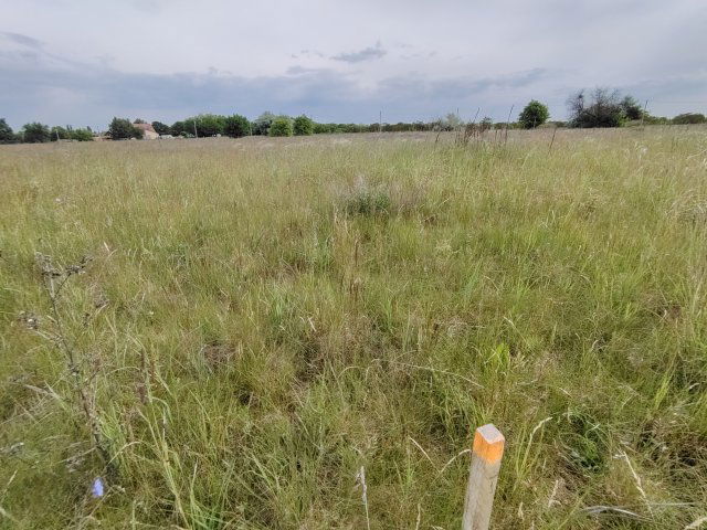 Eladó telek, Szigetszentmiklóson 10 M Ft / költözzbe.hu