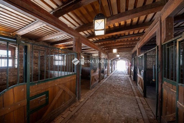 Eladó családi ház, Nőtincsen 1276.74 M Ft, 8 szobás