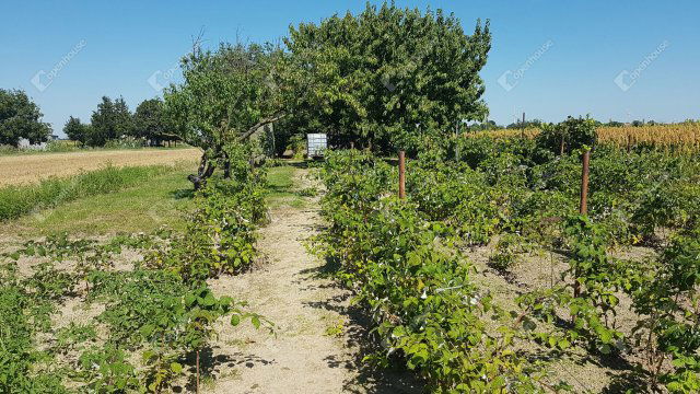 Eladó telek, Levélen 9.9 M Ft / költözzbe.hu