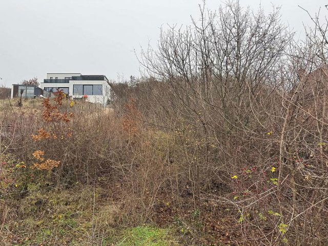 Eladó telek, Pomázon 40 M Ft / költözzbe.hu