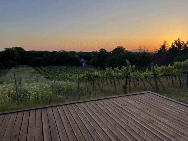 Eladó mezogazdasagi ingatlan, Balatonlelleén 29.5 M Ft