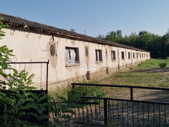Eladó mezogazdasagi ingatlan, Kocséren 130 M Ft, 3 szobás