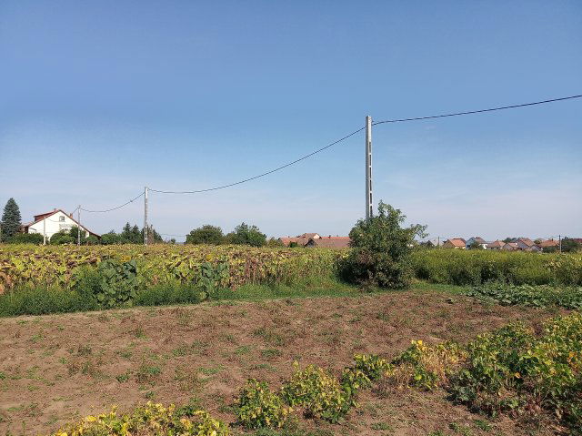 Eladó telek, Dányon 2.7 M Ft / költözzbe.hu