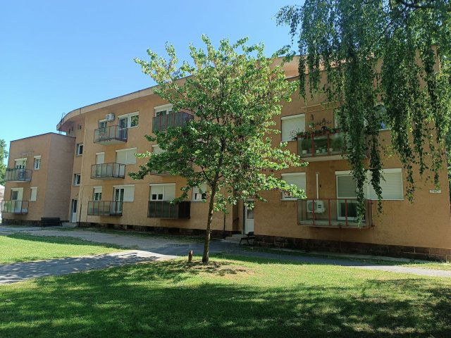 Kiadó téglalakás, albérlet, Ajkán, Újélet utcában, 2 szobás