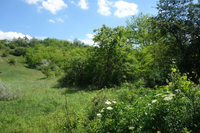 Eladó mezogazdasagi ingatlan, Isaszegen 3.9 M Ft