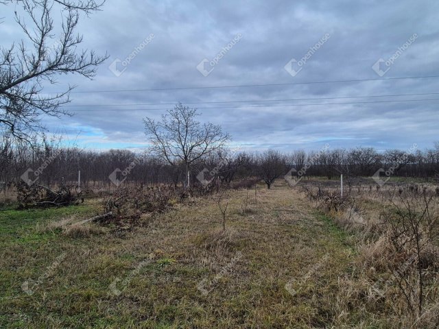 Eladó telek, Sülysápon 19.999 M Ft / költözzbe.hu