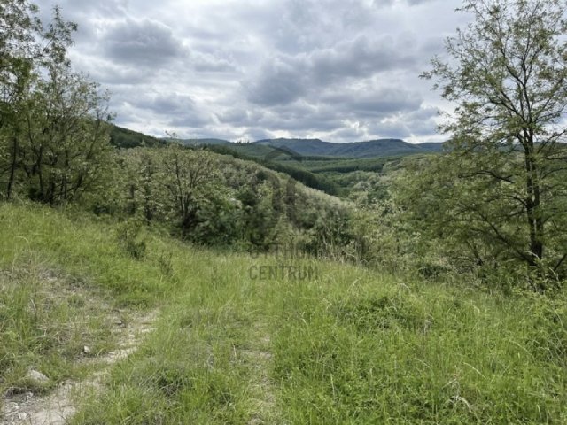 Eladó telek, Dorogházán 89 M Ft / költözzbe.hu