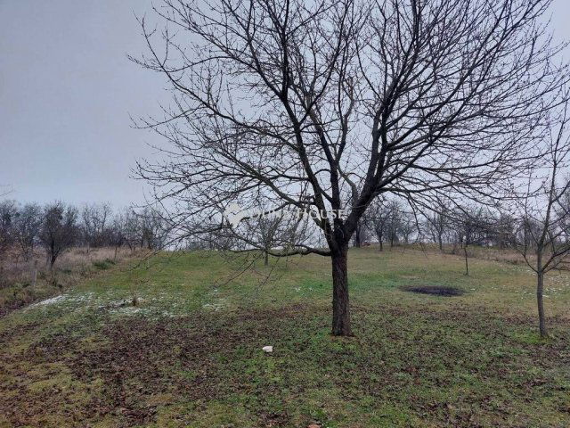 Eladó telek, Szomódon 4.5 M Ft / költözzbe.hu