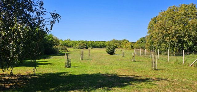 Eladó családi ház, Baksán 51.99 M Ft, 4 szobás