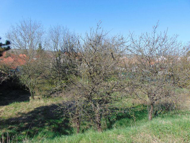 Eladó telek, Andornaktályán 8 M Ft / költözzbe.hu