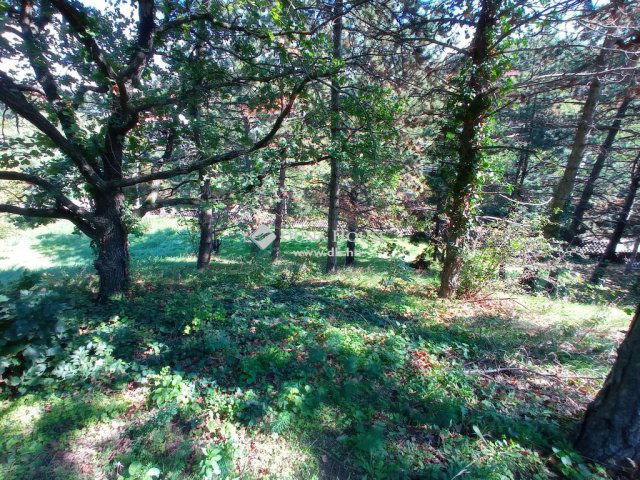 Eladó telek, Velencén 37 M Ft / költözzbe.hu