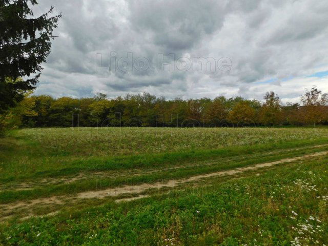 Eladó mezogazdasagi ingatlan, Szentgyörgyváron 5.5 M Ft