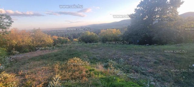 Eladó telek, Szentendrén 60 M Ft, 1 szobás / költözzbe.hu