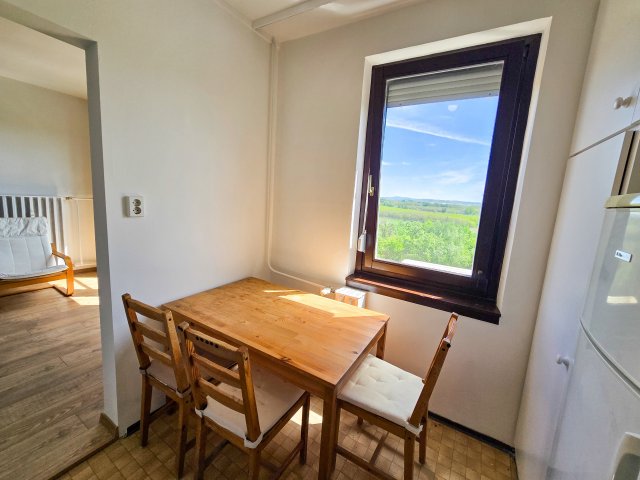 Kiadó panellakás, albérlet, Budapesten, IV. kerületben, 1 szobás