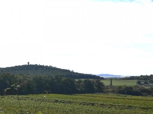 Eladó telek, Alsóörsön 47 M Ft / költözzbe.hu