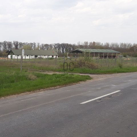 Eladó mezogazdasagi ingatlan, Tiszacsegén 400 M Ft