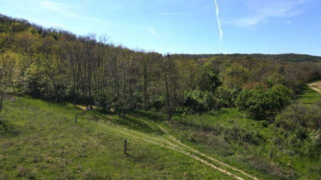 Eladó mezogazdasagi ingatlan, Mindszentkállán 2.4 M Ft