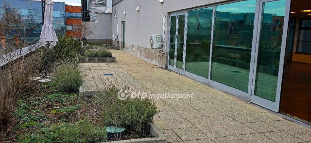 Kiadó iroda, Debrecenben 2000 E Ft / hó, 13 szobás