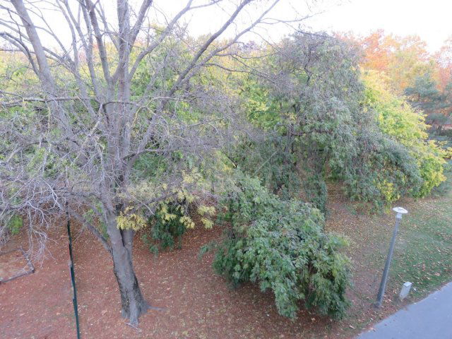 Eladó panellakás, Győrött 38.7 M Ft, 1 szobás