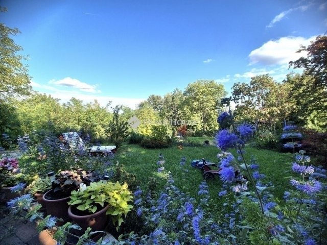 Eladó családi ház, Tahitótfalun 119 M Ft, 4+1 szobás