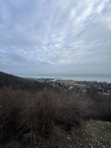 Eladó mezogazdasagi ingatlan, Balatonkenesén 59 M Ft