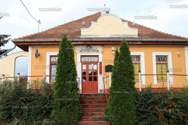 Eladó családi ház, Domonyban 29.9 M Ft, 4 szobás