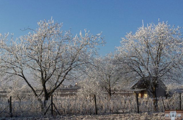 Eladó mezogazdasagi ingatlan, Monoron 7.5 M Ft