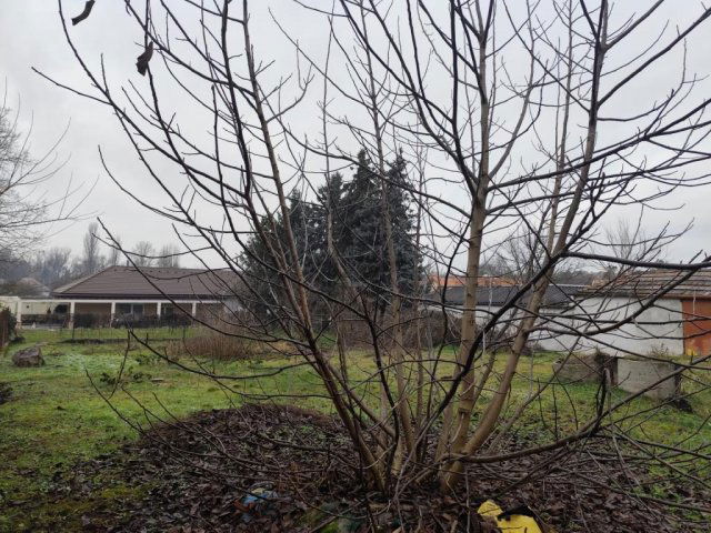 Eladó telek, Csömörön 59 M Ft / költözzbe.hu